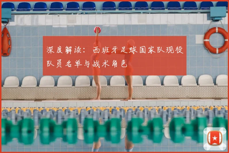深度解读：西班牙足球国家队现役队员名单与战术角色
