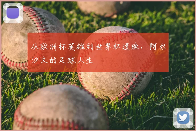 从欧洲杯英雄到世界杯遗珠,阿尔沙文的足球人生