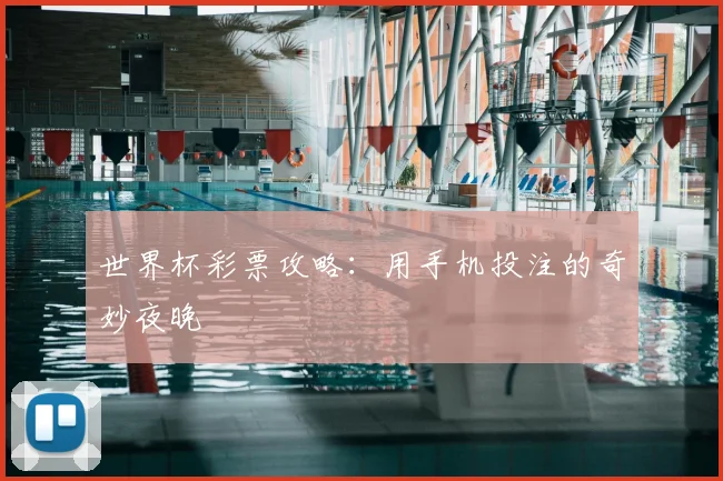 世界杯彩票攻略：用手机投注的奇妙夜晚