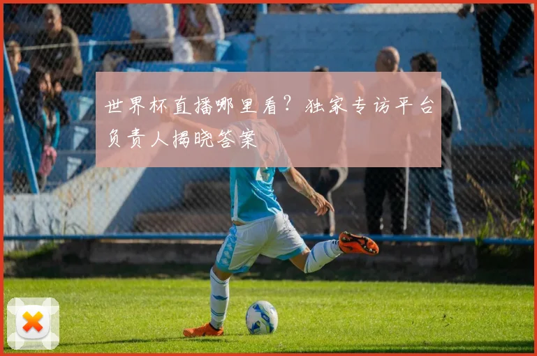 世界杯直播哪里看？独家专访平台负责人揭晓答案
