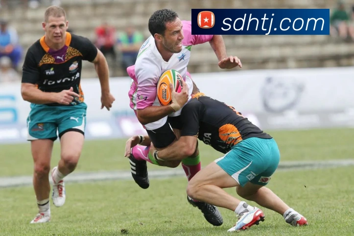 mk体育官网登录平台生态图